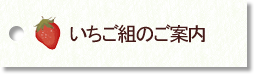 いちご組のご案内