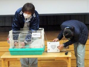 動物愛護教室（年長組）