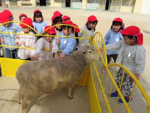 動物とふれあう日