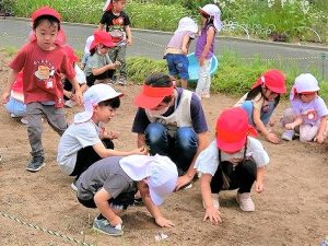 畑の石拾い（年長組・年中組）