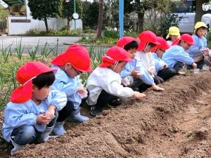 にんじんの種まき・じゃがいもの種いも植え（年中組）