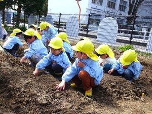 にんじんの種まき・じゃがいもの種いも植え（年中組）