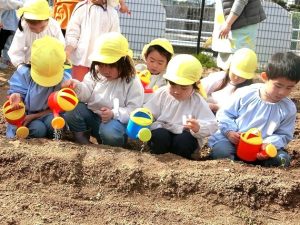 にんじんの種まき・じゃがいもの種いも植え（年中組）
