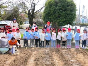 にんじんの種まき・じゃがいもの種いも植え（年中組）