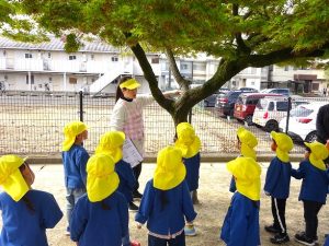 園外めぐり（年中組）