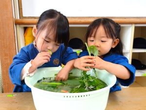 こどもの日を祝う会