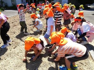 畑の石拾い（年長組・年中組）