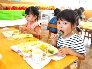 夏野菜の収穫（年長組）