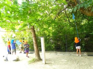 お泊り保育（年長組）