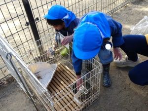 動物愛護教室（年長組）