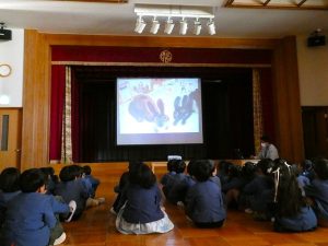 動物愛護教室（年長組）